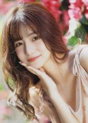 系十七届、十八